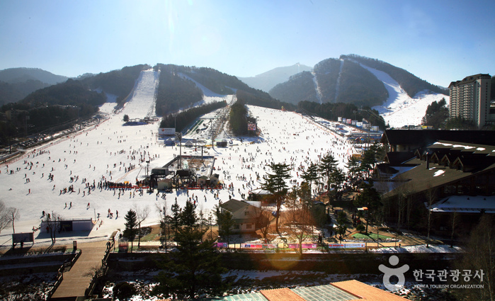 Estación de Esquí de Yongpyong Resort (용평리조트 스키장)