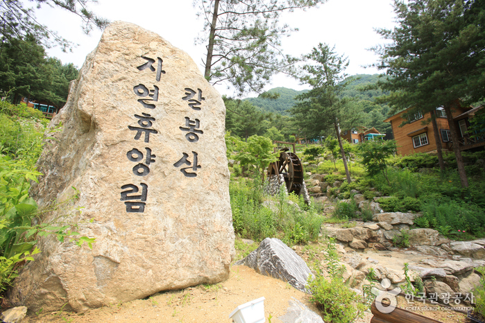 Bosque Recreativo del Monte Kalbongsan (칼봉산자연휴양림)